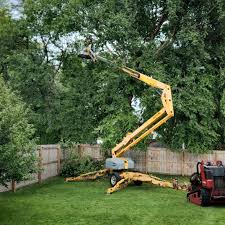 Best Tree Trimming and Pruning  in Riesel, TX