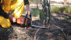 Best Lawn Grading and Leveling  in Riesel, TX