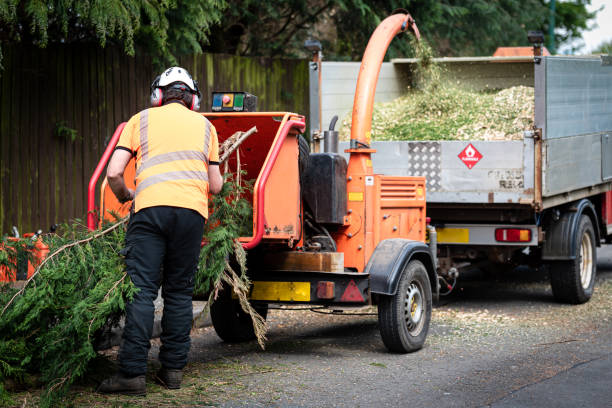 Best Arborist Consultation Services  in Riesel, TX