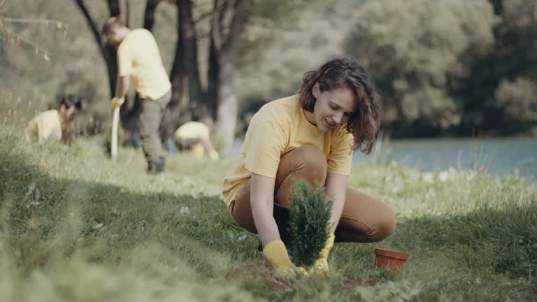 Best Lawn Maintenance Plans  in Riesel, TX