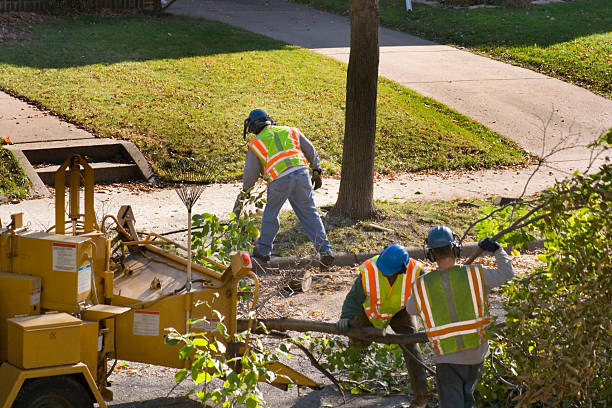 Best Fruit Tree Pruning  in Riesel, TX