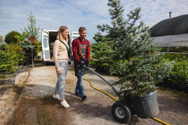  Riesel, TX Tree Services Pros